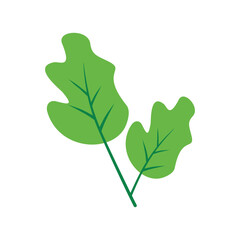 Green Leaf Illustration