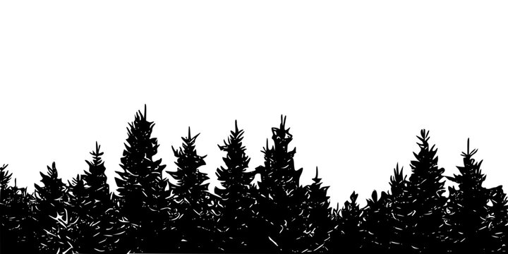 pine forest silhouette