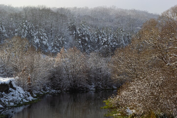 winter river, trees in the snow, view of the snow-covered forest