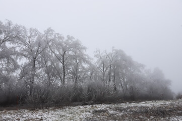 Winter landscape frozen road with meadow and trees, plenty of snow