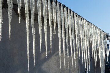 Sharp icicles and melted snow hanging from the eaves of the roof. Beautiful transparent icicles slowly gliding of a roof