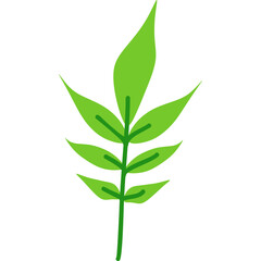 Fototapeta premium Green Leaf