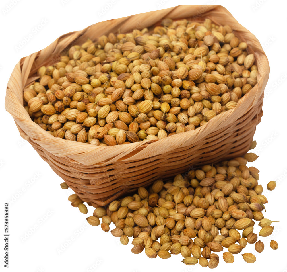 Poster whole coriander