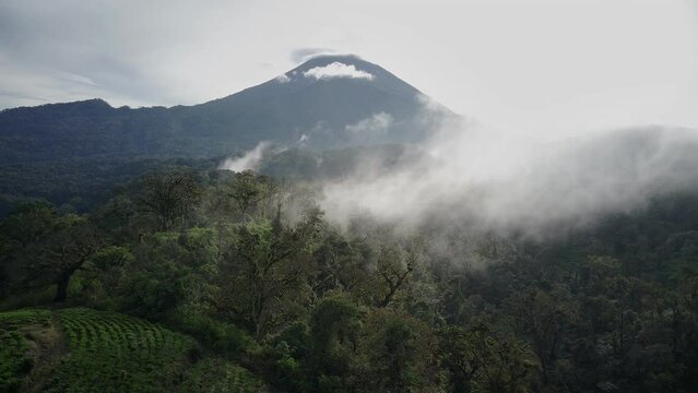 The Mysticism Documentary of Mount Slamet which is shrouded in mist was taken from around Sakub Peak.
It's amazing and makes anyone who sees it goosebumps.