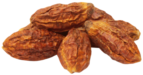 Medicinal Haritaki fruits