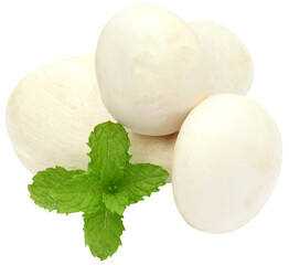 Milky mushroom with mint leaves