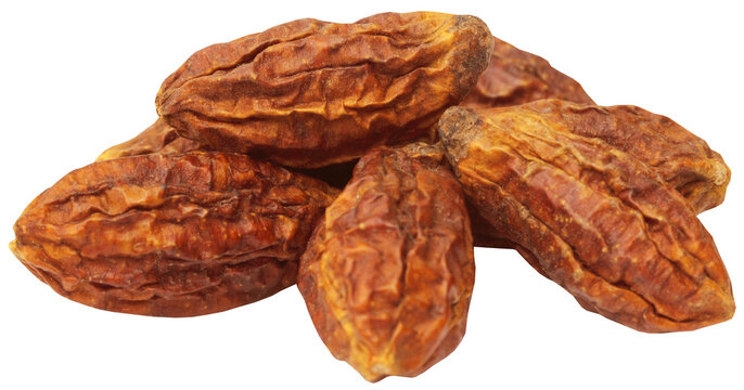 Medicinal Haritaki fruits