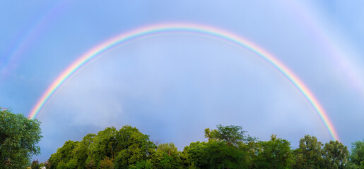 Panoramic view double rainbow over trees foliage