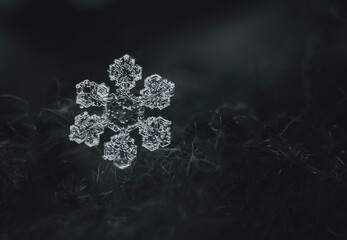 Close up image of snowflake