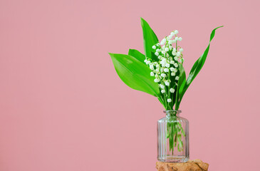 lily of the valley spring flowers in a tiny green vase on table.pink red background with copy space. Blooming flowers. Greeting card. Border banner