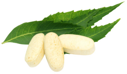 Pills made fro neem