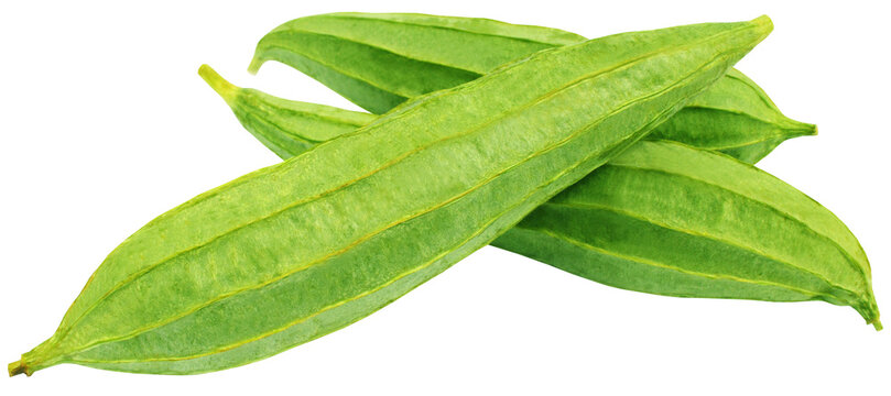 Ridge gourd