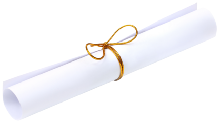 Bow knot on a scrolled paper