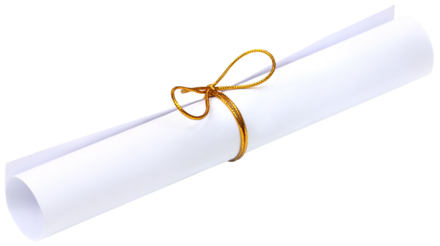 Bow knot on a scrolled paper