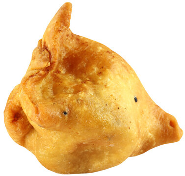 South Asian Shingara