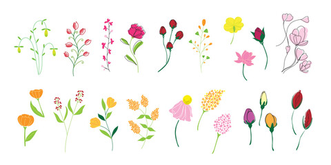 Fototapeta na wymiar 植物のイラストのセット、野の花、野の葉、ボタニカル,カラフル