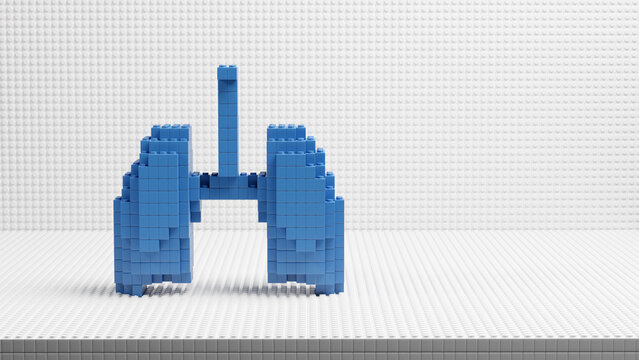 Shape of Lungs brick kid toy. 3D rendering