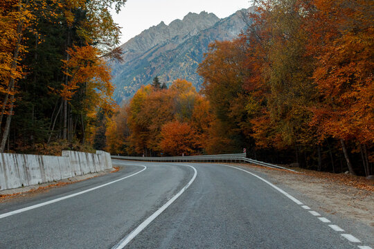 an empty road with autumn mountain scenery