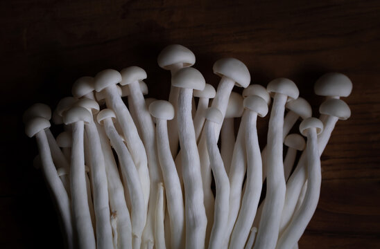 White crab mushroom