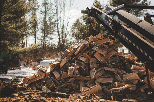 split wood falling off wood processor into large wood pile