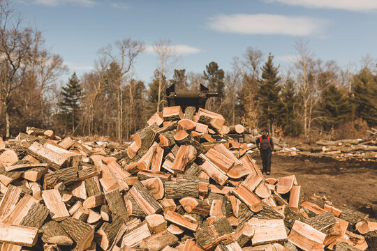 man walking towards large pile of split wood
