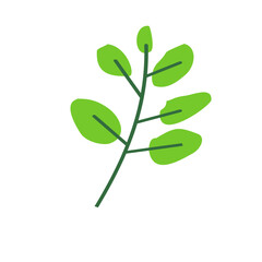 Green Leaf Illustration
