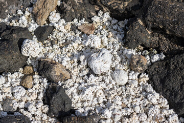 Popcorn beach, Corralejo, Fuerteventura, Spain