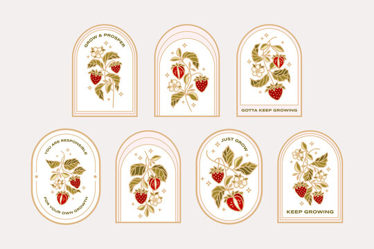 Vintage hand drawn organic strawberry plant and floral sticker label collection with quotes for food products, nature objects, reminders, aesthetic decoration, retro vector illustration elements
