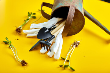 Flat lay watering can, gardening tools, gloves and greens on yellow background, Spring garden works concept, Copy space for text, top view