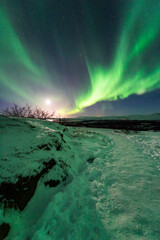 Fototapeta na wymiar imagen nocturna de un paisaje nevado con una aurora boreal en el cielo de Islandia 