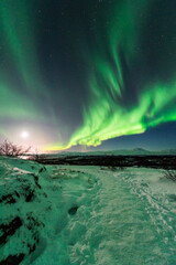 Fototapeta na wymiar imagen de un paisaje nocturno nevado, con montañas de fondo, y una aurora boreal sobre el cielo de Islandia 