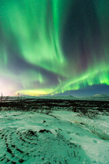 imagen de un paisaje nocturno nevado, con montañas de fondo, y una aurora boreal sobre el cielo de Islandia  - obrazy, fototapety, plakaty