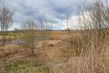 brook in landscape early spring