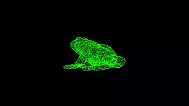 3D frog rotates on black bg. Object dissolved green flickering particles 60 FPS. Business advertising backdrop. Science concept. For title, text, presentation. 3D animation.