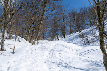 石川県金沢市にある医王山、白兀山を雪山登山している風景 Scenery of snow climbing Mt. Iozen and Mt. Shirahage in Kanazawa City, Ishikawa Prefecture, Japan.