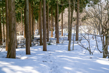 石川県金沢市にある医王山、白兀山を雪山登山している風景 Scenery of snow climbing Mt. Iozen and Mt. Shirahage in Kanazawa City, Ishikawa Prefecture, Japan.