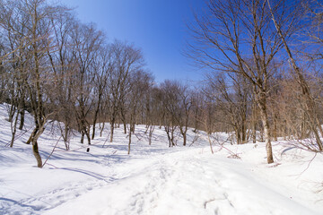 Fototapeta premium 石川県金沢市にある医王山、白兀山を雪山登山している風景 Scenery of snow climbing Mt. Iozen and Mt. Shirahage in Kanazawa City, Ishikawa Prefecture, Japan.