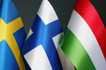 Flags of Finland, Sweden and Hungary as a symbol of negotiations.