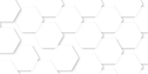Background with hexagons . Abstract background with lines . white texture background . white and hexagon abstract background. white paper texture and futuristic business .