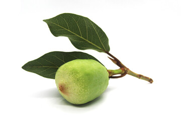 Kakadu plum fruit isolated on white background