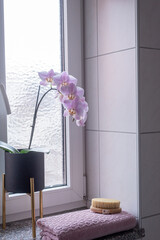 A pink orchid in a black pot, a pink towel and a body brush stand on the windowsill of the bathroom window.