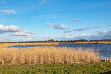 landscape in the northern part of the Netherlands with small lake on a sunny day early spring