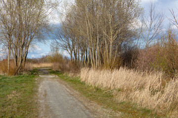 Fototapeta na wymiar road in walking area in the northern part of the Netherlands early spring