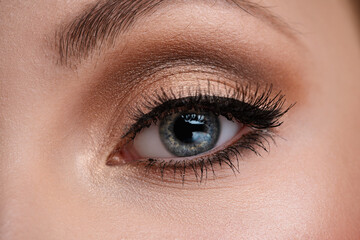 Obraz premium Woman eye with make-up close-up view