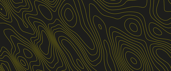 Topography relief. Topographic illustration. Abstract paper cut style design. Geometric layered curve line black, gold vector, realistic papercut decoration textured with wavy layers.