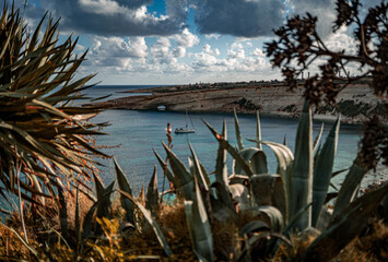 the view of a jacht through exotic plants in the Mediterranean sea in Marsaskala, Malta, sunset time	
