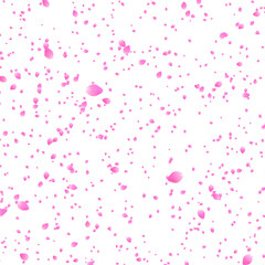 flurry of pink cherry blossom petals on transparent background	