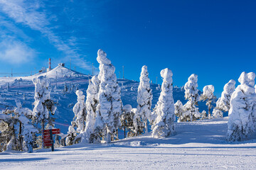 Landschaft mit Schnee im Winter in Ruka, Finnland - 579002704