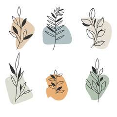 hand drawn plant elements, sprouts, branches, aesthetic template set - 579002793