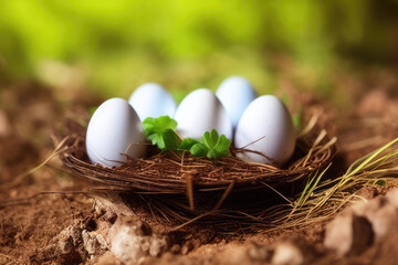 Obraz premium Freshly Laid Chicken Eggs in a Rustic Nest - Farm Fresh Eggs